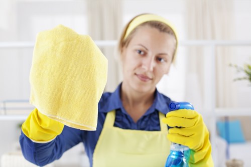 Professional sofa cleaning service in SE1 for busy homes and commercial spaces