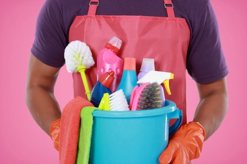 Professional carpet cleaning for a SE1 home interior