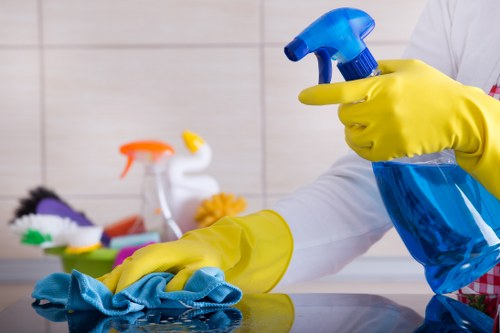Local home cleaner preparing a modern SE1 flat for a thorough domestic clean