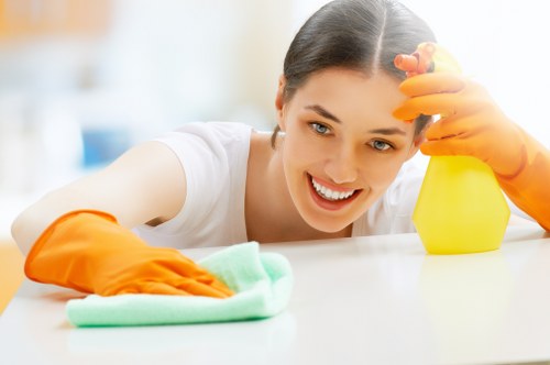 Local cleaners serving homes and businesses in SE1