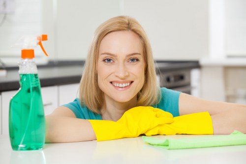 Local domestic cleaning for kitchens and bathrooms in SE1
