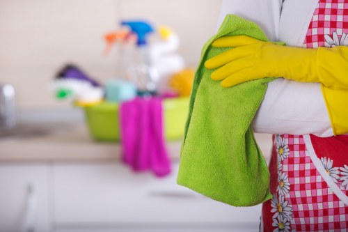 Deep cleaning oven shelves, trays, and glass in Southwark