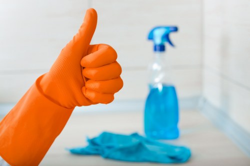 Domestic cleaner maintaining a flat in Waterloo