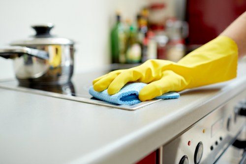 Commercial oven cleaning for a business kitchen near London Bridge