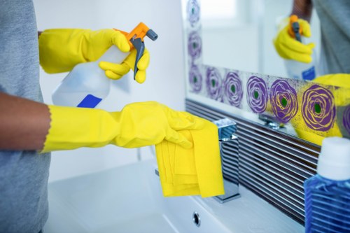 Domestic cleaning support for busy households in SE1