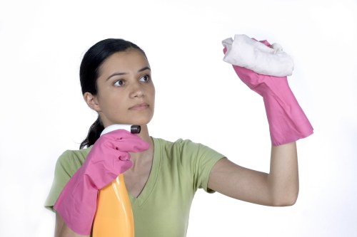 Commercial and residential cleaning support across SE1