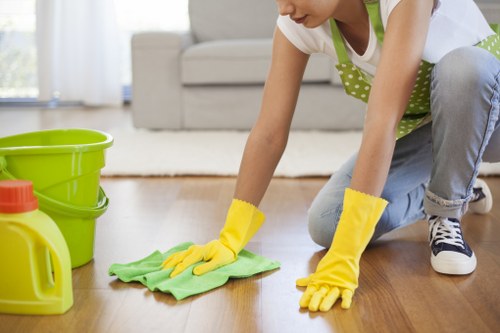 Freshly cleaned windows for a residential or commercial property in SE1